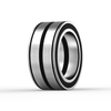 SL045006-PP-C3 INA - Zylinderrollenlager with white background
