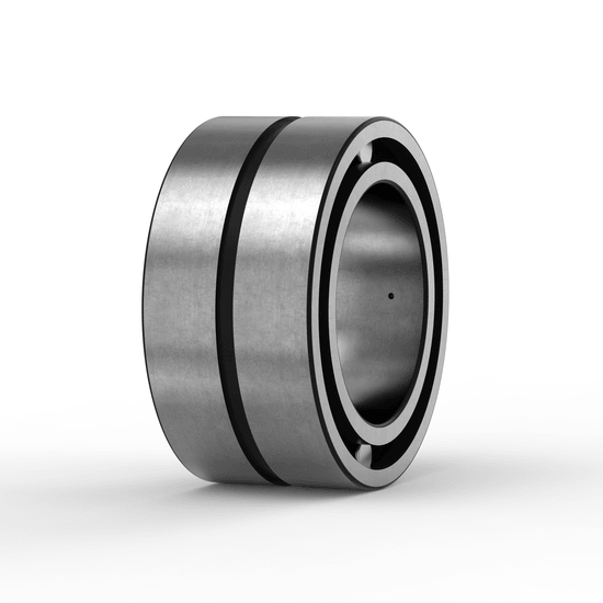 SL185009-C3 INA - Zylinderrollenlager with white background